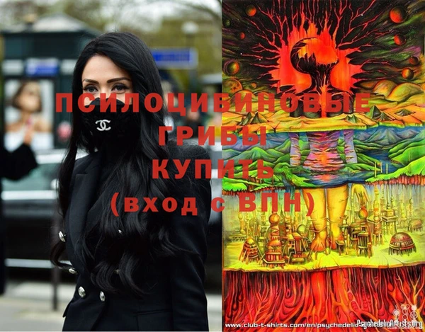 первитин Богородицк