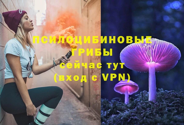 эйфоретик Богородск