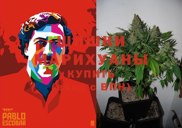 эйфоретик Богородск