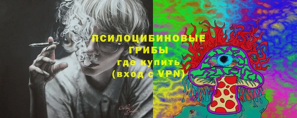 первитин Богородицк