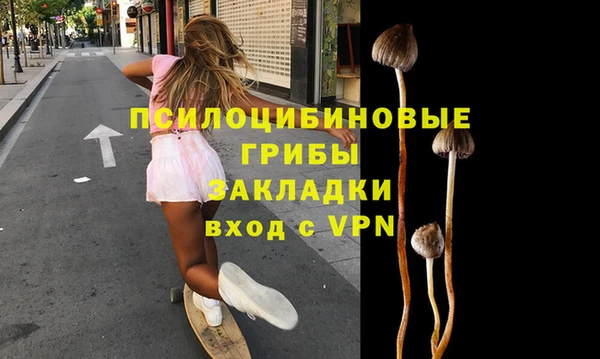 эйфоретик Богородск
