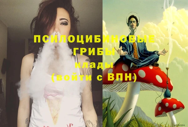 эйфоретик Богородск