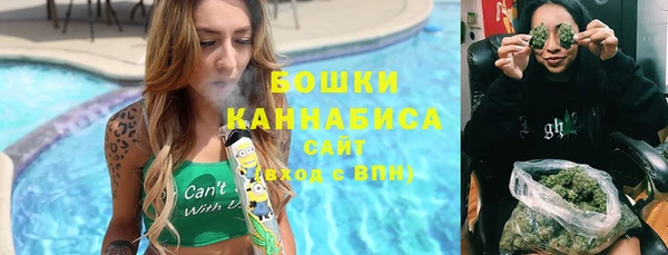 первитин Богородицк